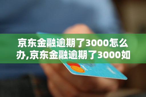 京东金融逾期了3000怎么办,京东金融逾期了3000如何解决