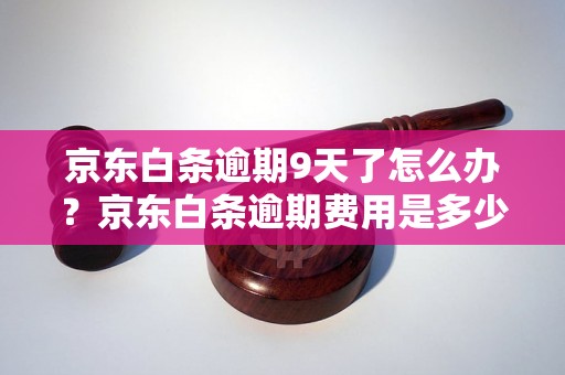 京东白条逾期9天了怎么办？京东白条逾期费用是多少？