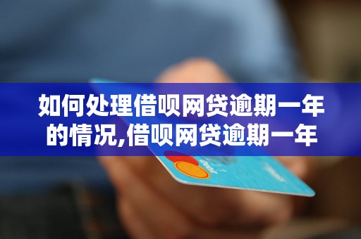 如何处理借呗网贷逾期一年的情况,借呗网贷逾期一年后的解决方法