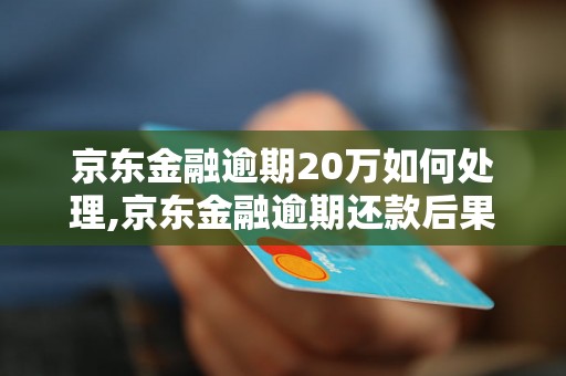 京东金融逾期20万如何处理,京东金融逾期还款后果