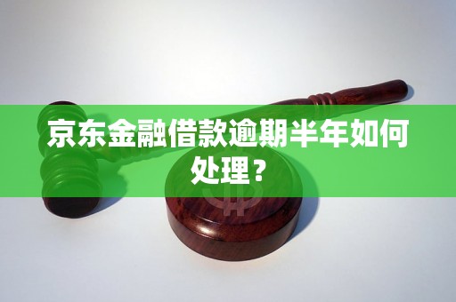 京东金融借款逾期半年如何处理？