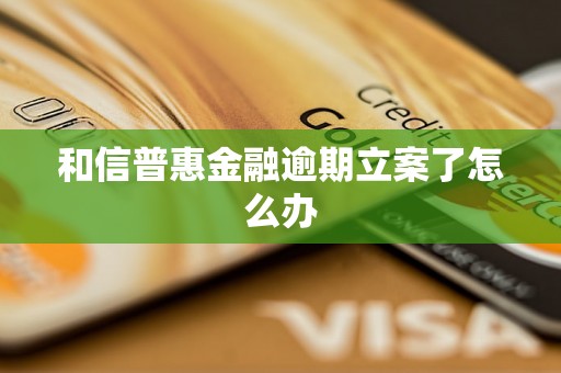 和信普惠金融逾期立案了怎么办