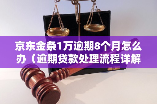 京东金条1万逾期8个月怎么办（逾期贷款处理流程详解）