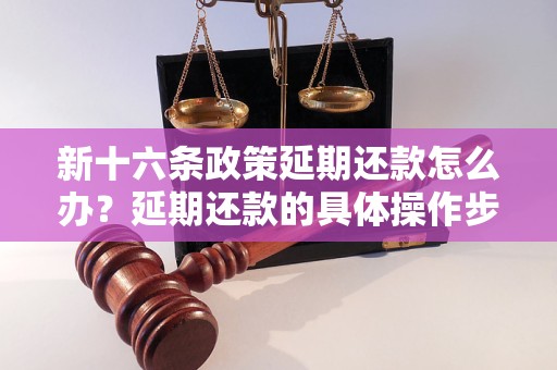 新十六条政策延期还款怎么办？延期还款的具体操作步骤