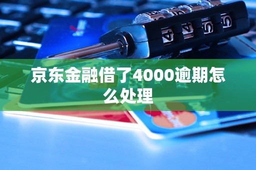 京东金融借了4000逾期怎么处理