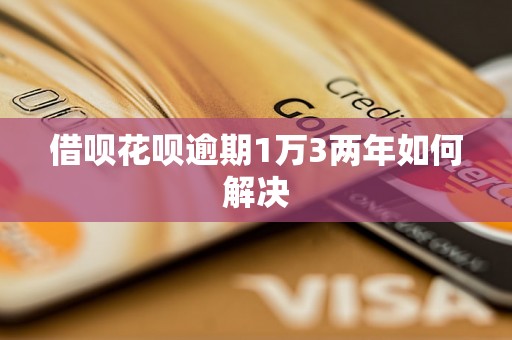 借呗花呗逾期1万3两年如何解决