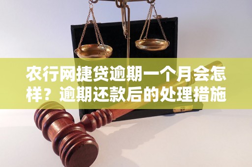 农行网捷贷逾期一个月会怎样？逾期还款后的处理措施有哪些？