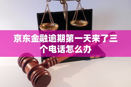 京东金融逾期第一天来了三个电话怎么办