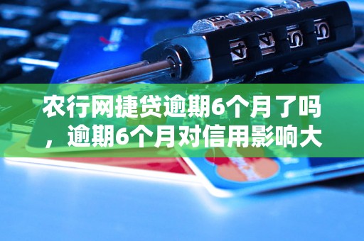 农行网捷贷逾期6个月了吗，逾期6个月对信用影响大吗