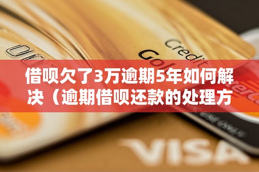 借呗欠了3万逾期5年如何解决（逾期借呗还款的处理方法）