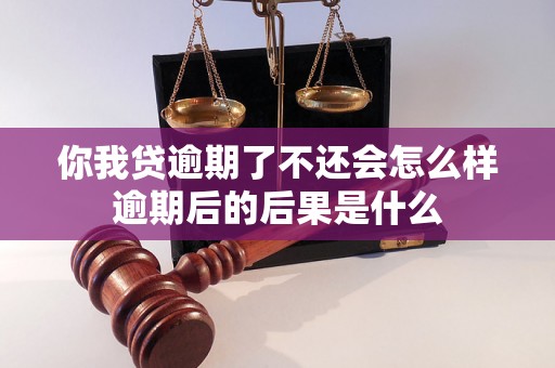 你我贷逾期了不还会怎么样逾期后的后果是什么