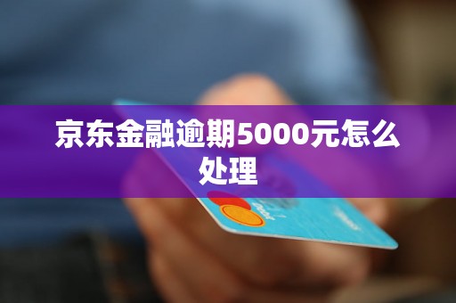 京东金融逾期5000元怎么处理