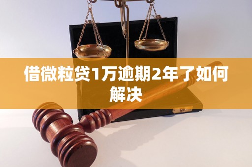 借微粒贷1万逾期2年了如何解决