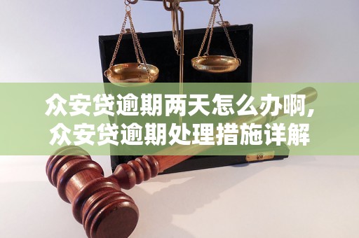 众安贷逾期两天怎么办啊,众安贷逾期处理措施详解