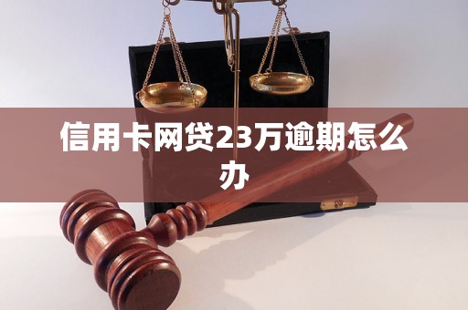 信用卡网贷23万逾期怎么办