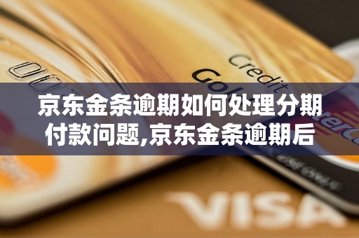 京东金条逾期如何处理分期付款问题,京东金条逾期后的分期还款流程