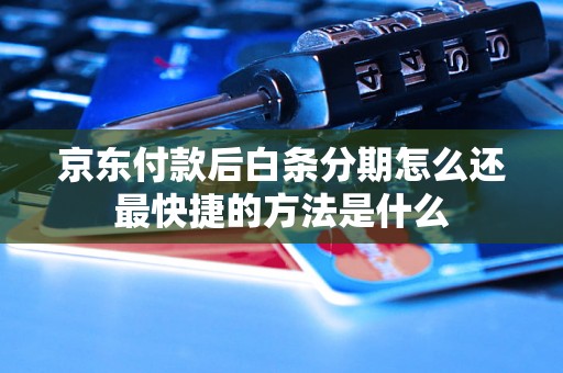 京东付款后白条分期怎么还最快捷的方法是什么