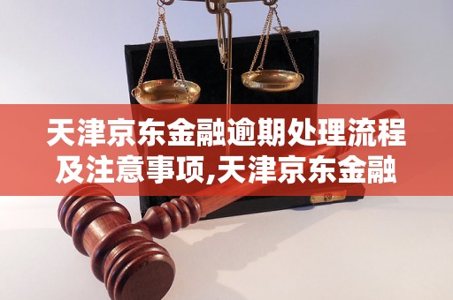 天津京东金融逾期处理流程及注意事项,天津京东金融逾期后果及解决方法