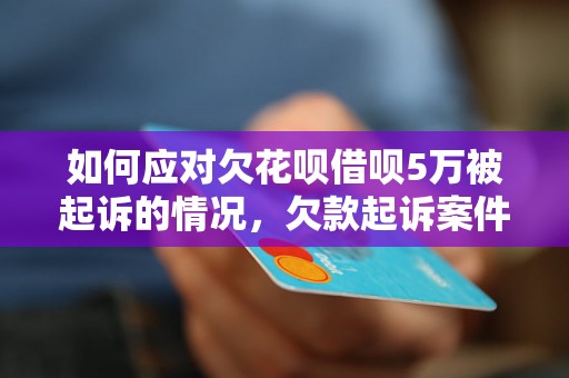 如何应对欠花呗借呗5万被起诉的情况，欠款起诉案件处理流程