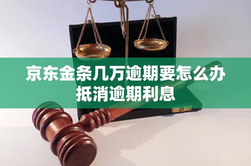 京东金条几万逾期要怎么办抵消逾期利息