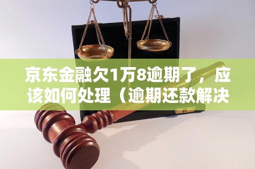 京东金融欠1万8逾期了，应该如何处理（逾期还款解决方案）