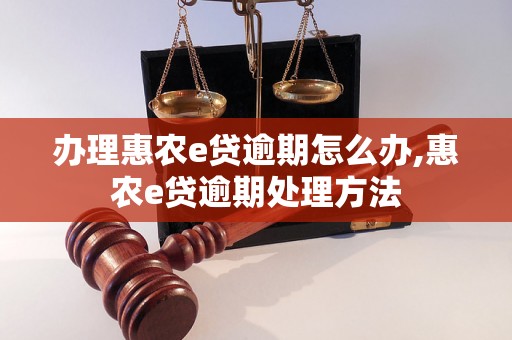 办理惠农e贷逾期怎么办,惠农e贷逾期处理方法