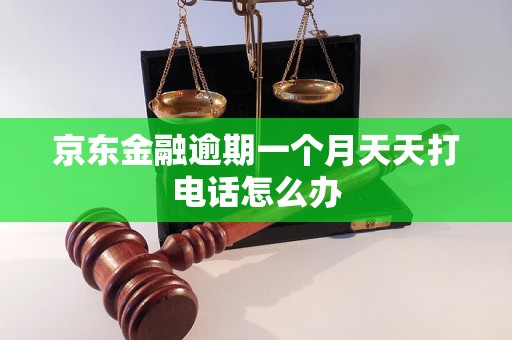 京东金融逾期一个月天天打电话怎么办