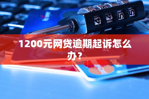 1200元网贷逾期起诉怎么办？