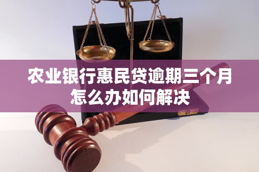 农业银行惠民贷逾期三个月怎么办如何解决