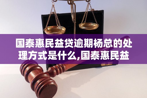 国泰惠民益贷逾期杨总的处理方式是什么,国泰惠民益贷逾期杨总的后果