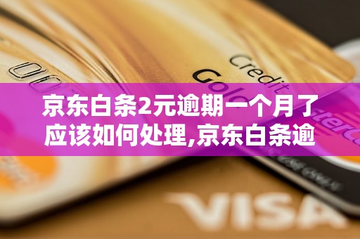 京东白条2元逾期一个月了应该如何处理,京东白条逾期一个月罚款多少钱