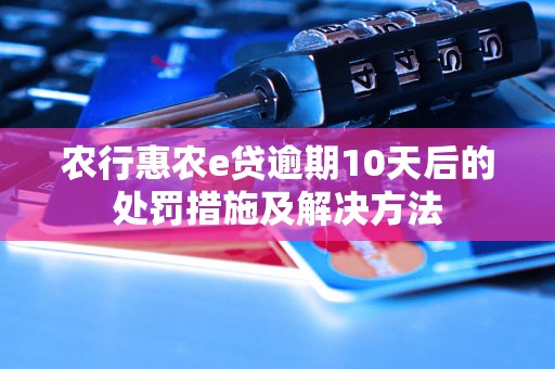 农行惠农e贷逾期10天后的处罚措施及解决方法