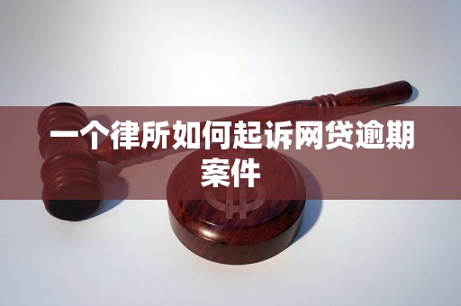 一个律所如何起诉网贷逾期案件