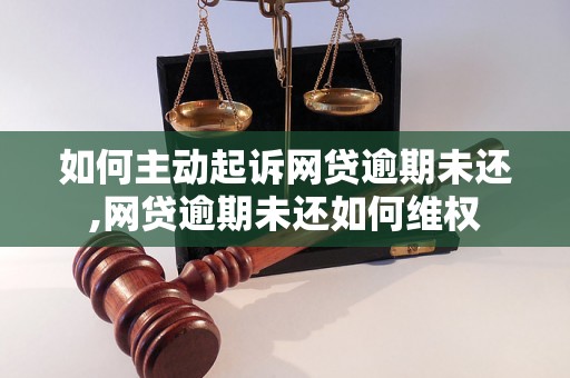 如何主动起诉网贷逾期未还,网贷逾期未还如何维权