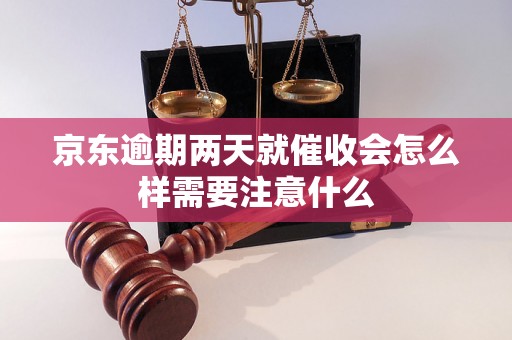 京东逾期两天就催收会怎么样需要注意什么