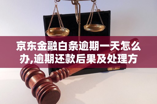 京东金融白条逾期一天怎么办,逾期还款后果及处理方法