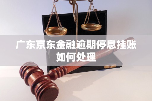 广东京东金融逾期停息挂账如何处理