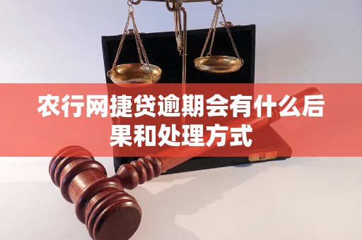 农行网捷贷逾期会有什么后果和处理方式