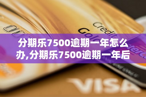 分期乐7500逾期一年怎么办,分期乐7500逾期一年后的处理方法