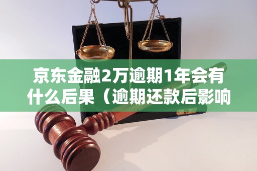 京东金融2万逾期1年会有什么后果（逾期还款后影响及处理方法）