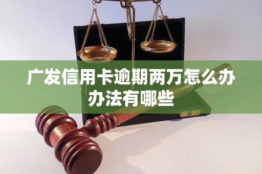 广发信用卡逾期两万怎么办办法有哪些