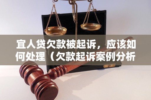 宜人贷欠款被起诉，应该如何处理（欠款起诉案例分析）