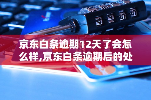 京东白条逾期12天了会怎么样,京东白条逾期后的处罚措施