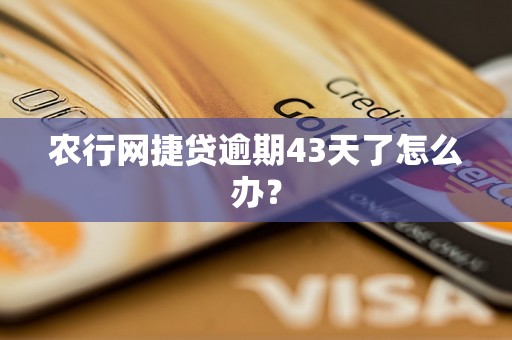 农行网捷贷逾期43天了怎么办？