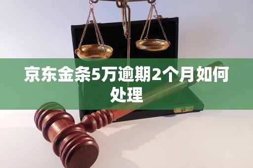 京东金条5万逾期2个月如何处理