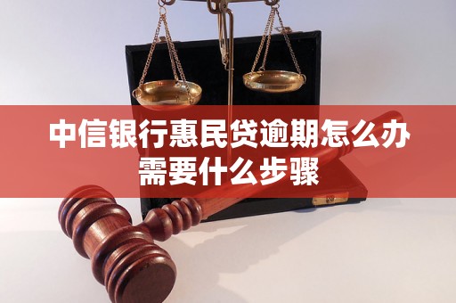 中信银行惠民贷逾期怎么办需要什么步骤