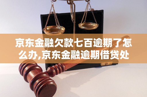 京东金融欠款七百逾期了怎么办,京东金融逾期借贷处理方法