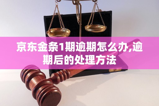 京东金条1期逾期怎么办,逾期后的处理方法