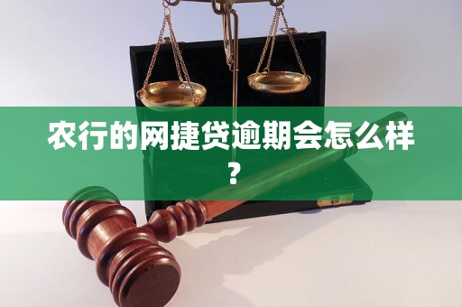 农行的网捷贷逾期会怎么样？