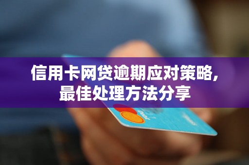 信用卡网贷逾期应对策略,最佳处理方法分享